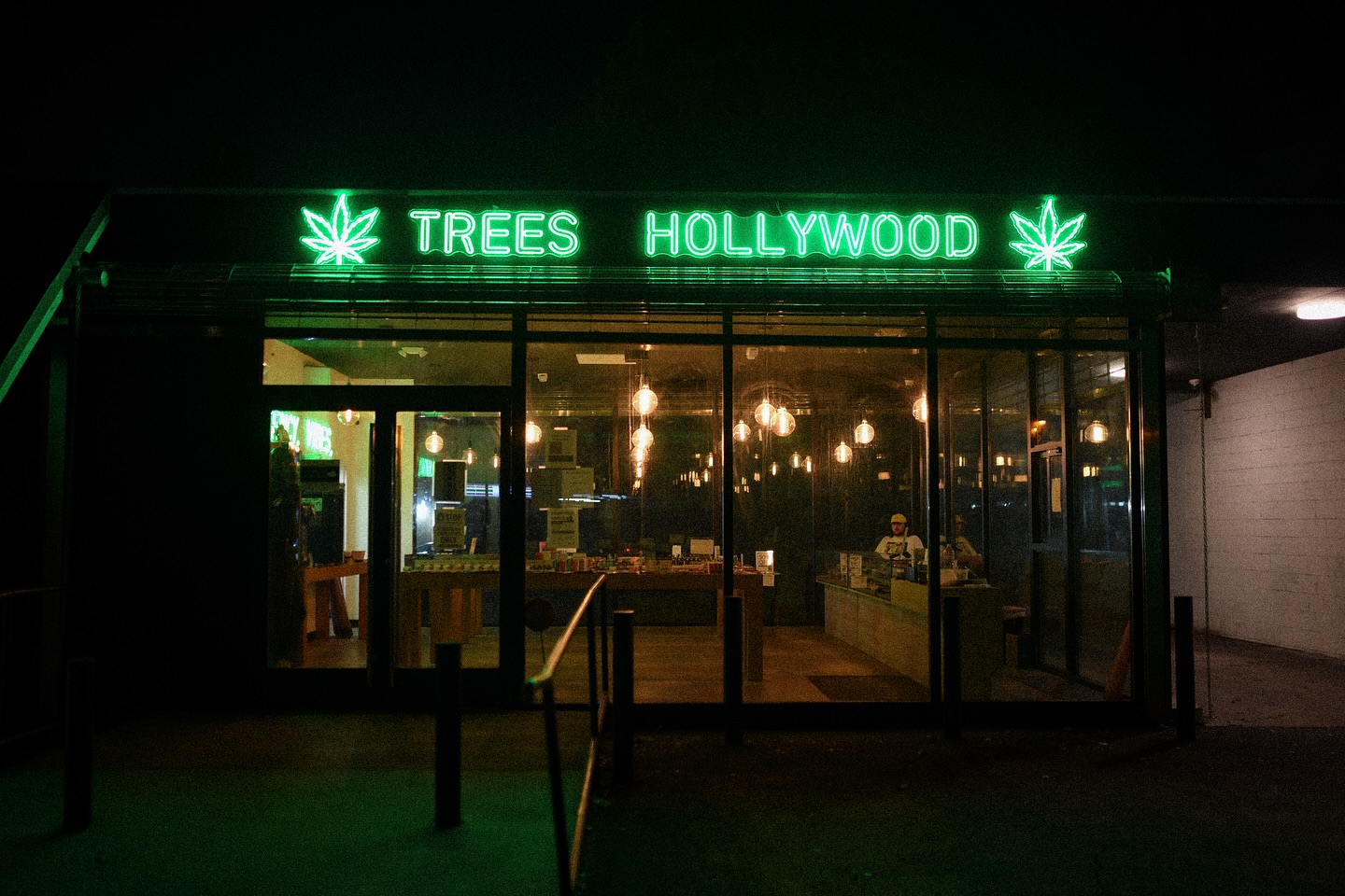 Trees Hollywood — Instagram post