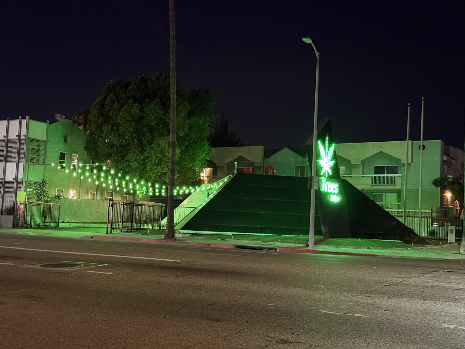Trees Hollywood storefront